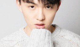 郑伟爆料视频播放大全下载,揭秘事件背后真相